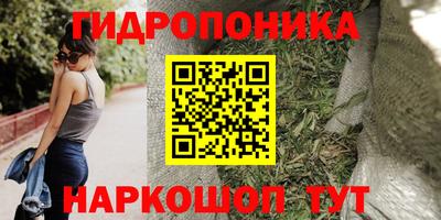кокаин Кингисепп