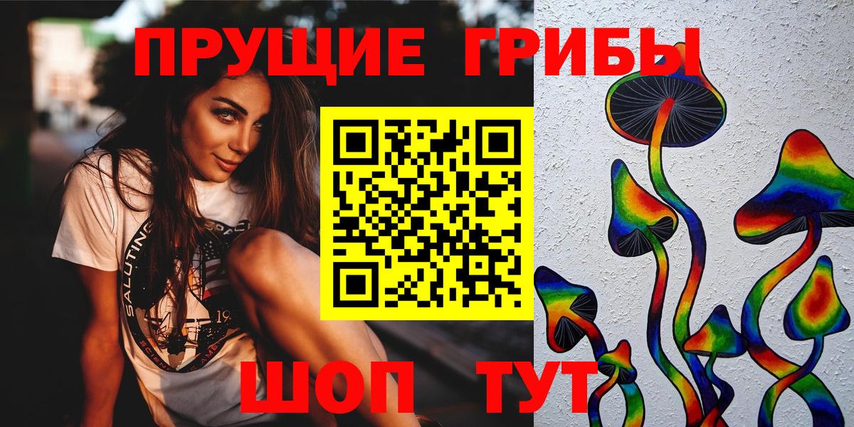 Псилоцибиновые грибы Psilocybine cubensis Комсомольск-на-Амуре