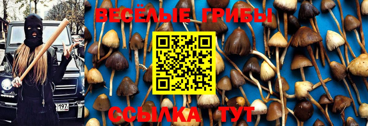 Комсомольск-на-Амуре  Псилоцибиновые грибы ЛСД  Вход с VPN 